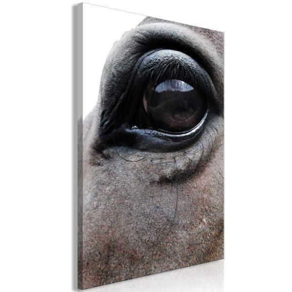 Canvas Print - Honest Eyes (1 Part) Vertical