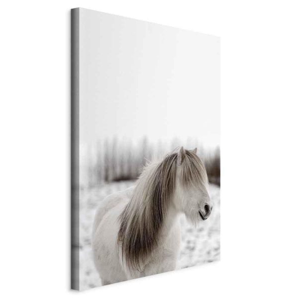 Canvas Print - Horse Mane (1 Part) Vertical