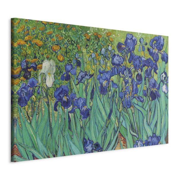 Canvas Print - Irises - Van Gogh