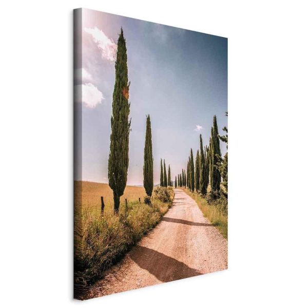 Canvas Print - Italian cypresses (1 Part) Vertical