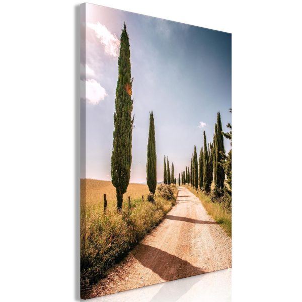Canvas Print - Italian cypresses (1 Part) Vertical