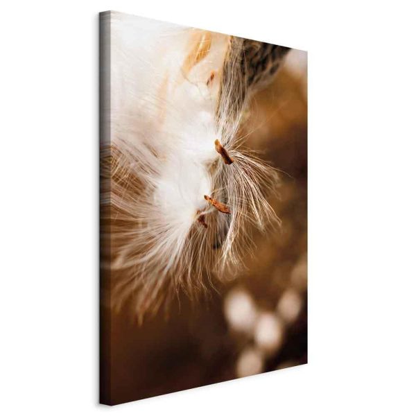 Canvas Print - Light Rocking (1 Part) Vertical
