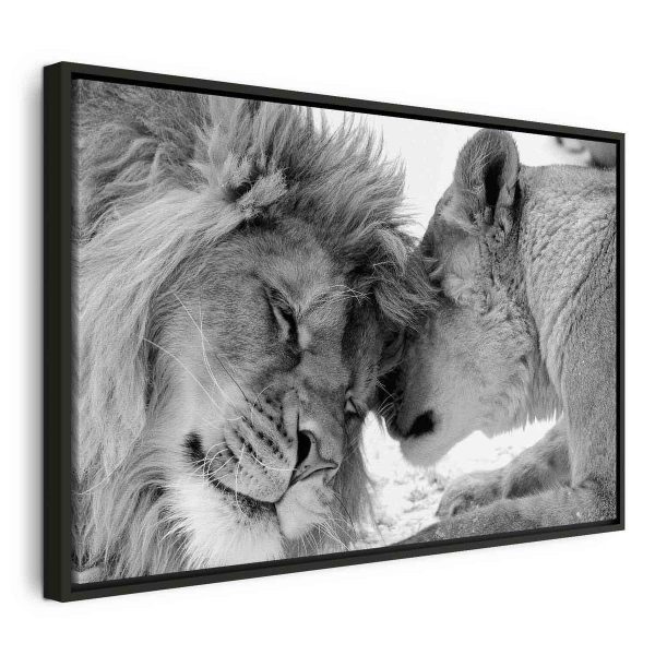 Canvas Print - Lion's Love