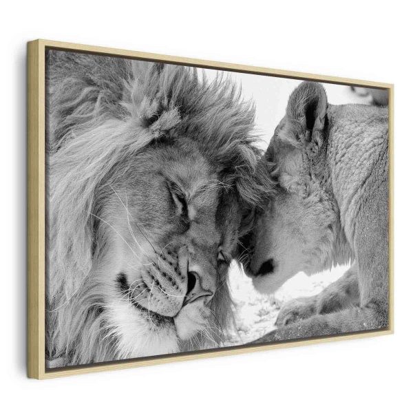Canvas Print - Lion's Love
