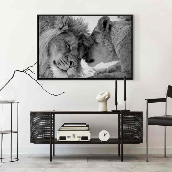 Canvas Print - Lion's Love