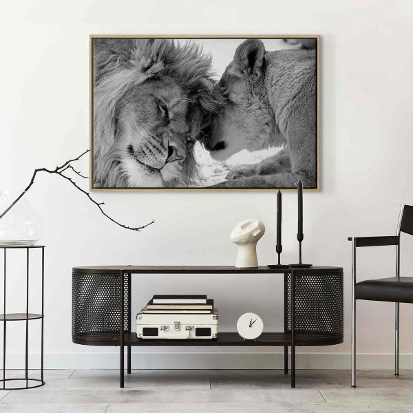 Canvas Print - Lion's Love
