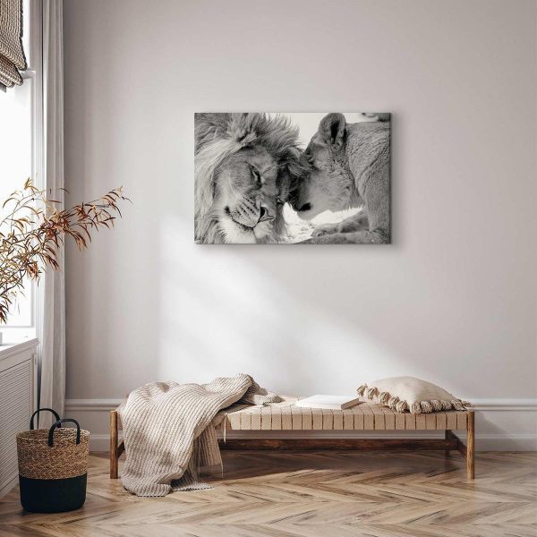 Canvas Print - Lion's Love