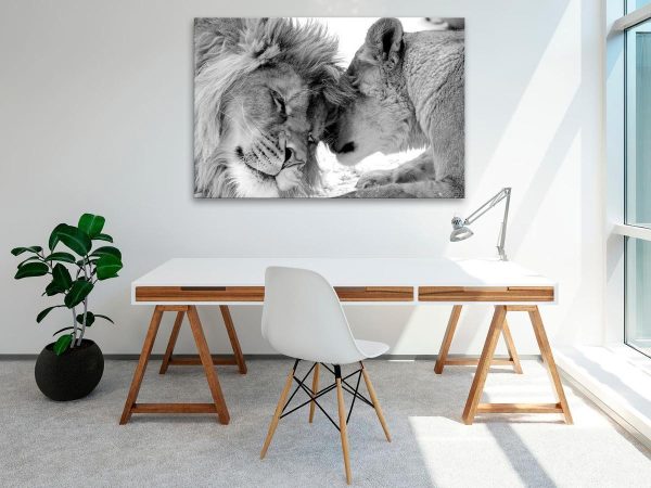 Canvas Print - Lion's Love