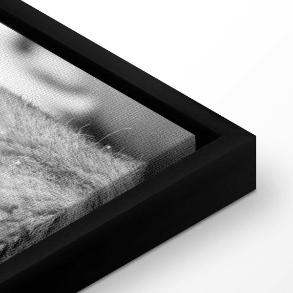 Canvas Print - Lion's Love