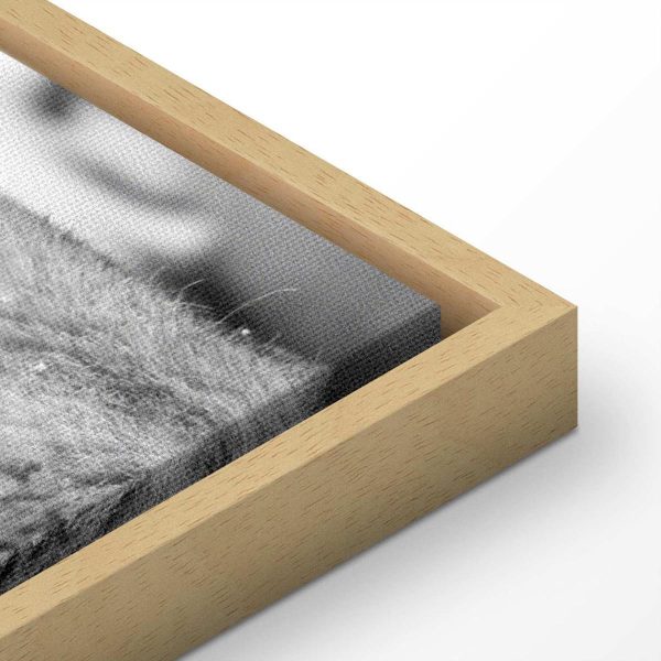 Canvas Print - Lion's Love