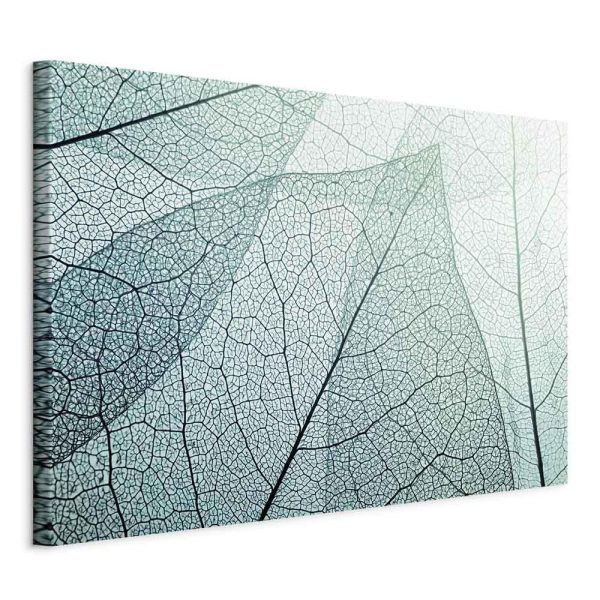 Canvas Print - Macroflora (1 Part) Wide