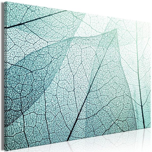 Canvas Print - Macroflora (1 Part) Wide