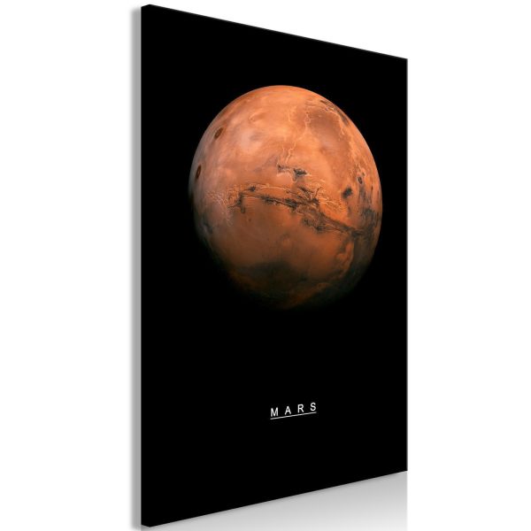 Canvas Print - Mars (1 Part) Vertical - Image 2