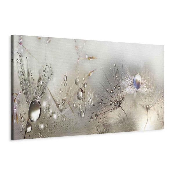 Canvas Print - Morning Song