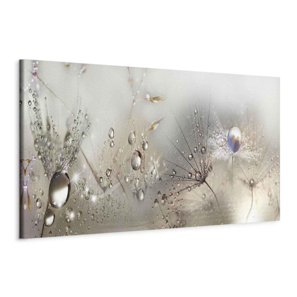 Canvas Print - Morning Song - Image 2