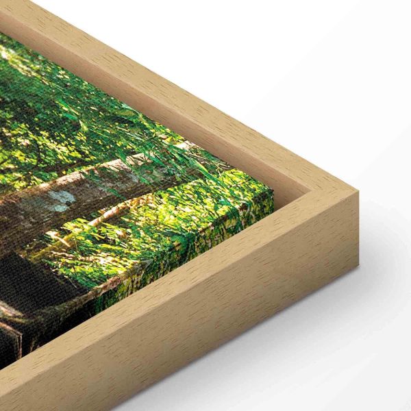 Canvas Print - Nature: Forest Waterfall - Image 12