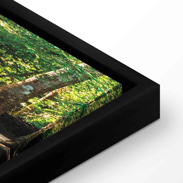 Canvas Print - Nature: Forest Waterfall - Image 10