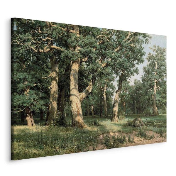 Canvas Print - Oak Forest