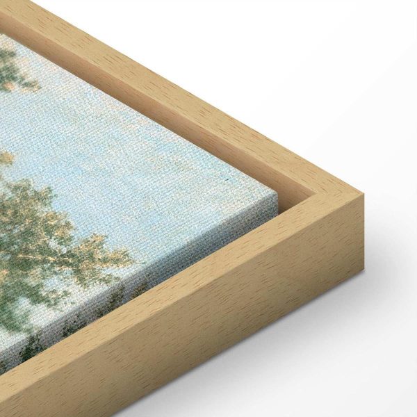 Canvas Print - Oak Forest