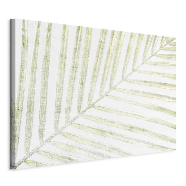Canvas Print - Palm Leaf (1 Part) Wide