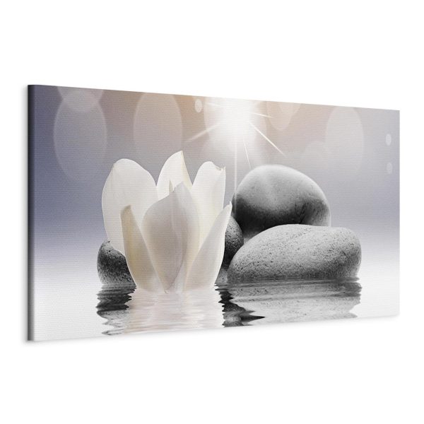 Canvas Print - Pebbles in Water (1 Part) Narrow - Image 6