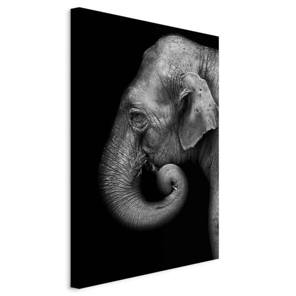 Canvas Print - Portrait of Elephant (1 Part) Vertical
