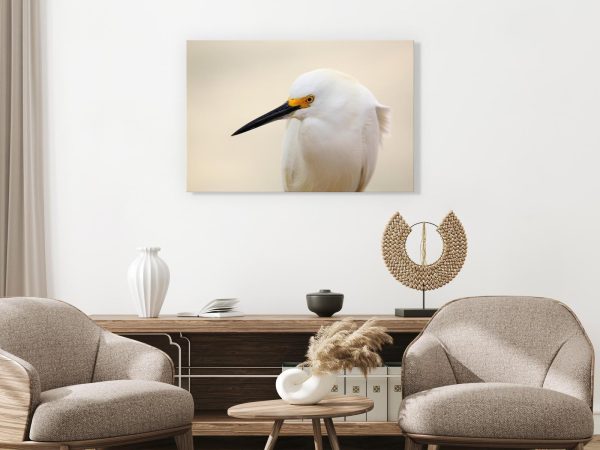 Canvas Print - Snowy Egret (1 Part) Wide - Image 2