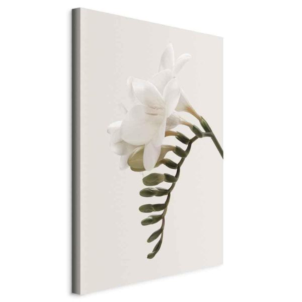 Canvas Print - Spring Headdress (1 Part) Vertical