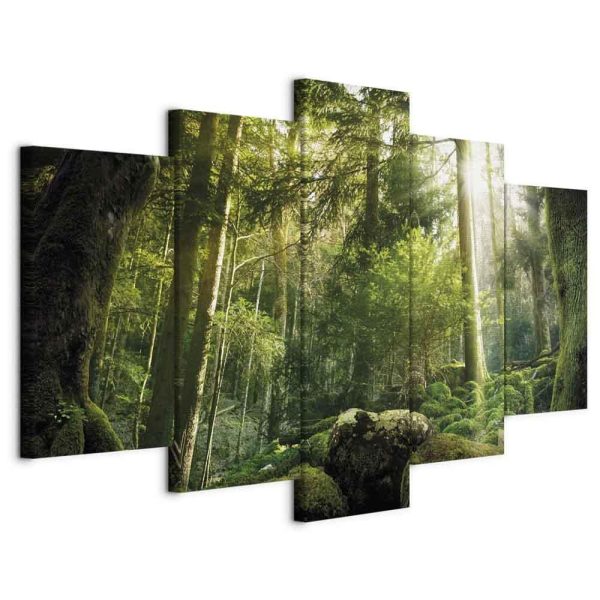 Canvas Print - The Beauty of the Forest