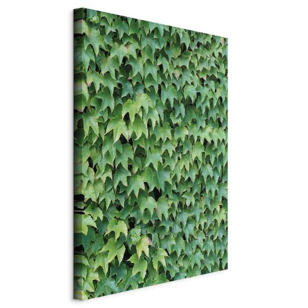 Canvas Print - Thick Ivy (1 Part) Vertical