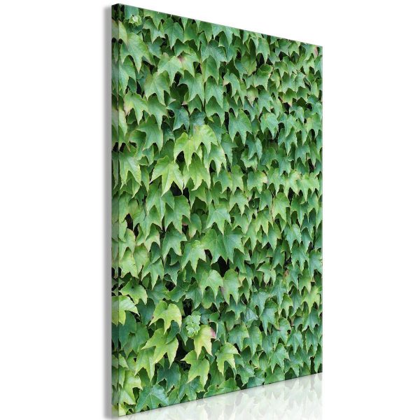 Canvas Print - Thick Ivy (1 Part) Vertical