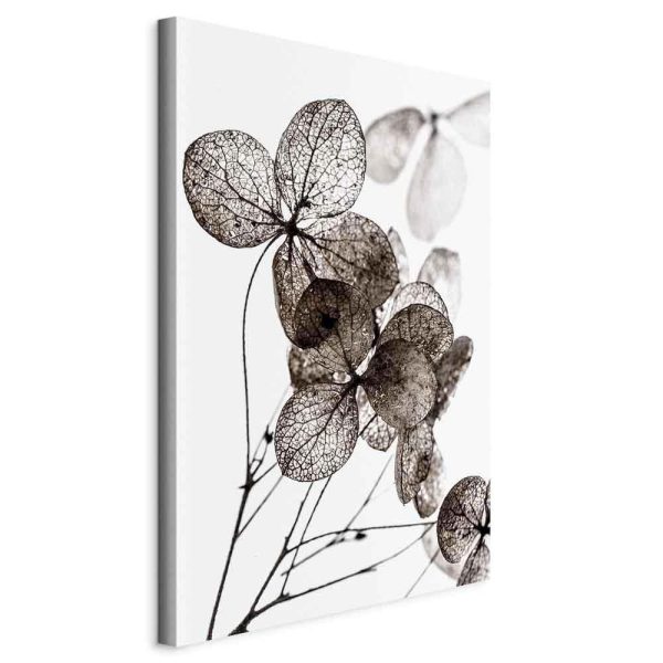Canvas Print - Transparent Clover (1 Part) Vertical