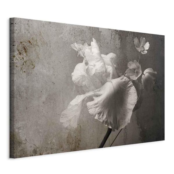 Canvas Print - Venetian Splendor (1 Part) Wide