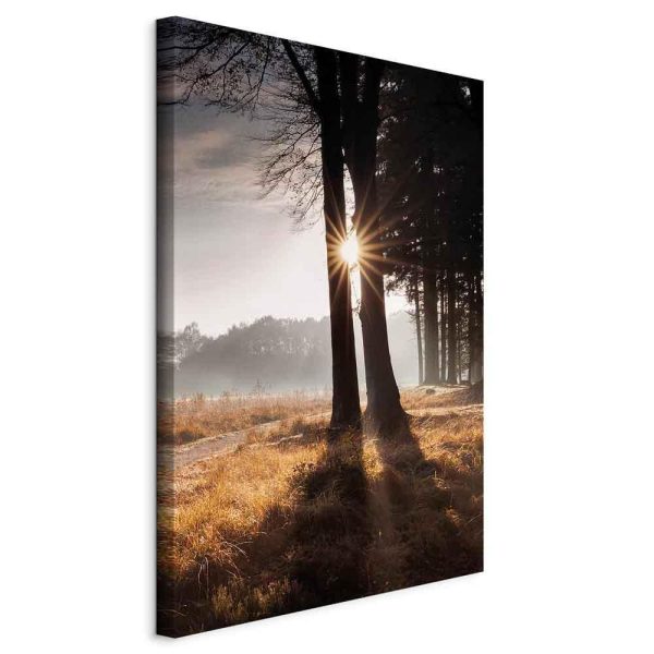 Canvas Print - We Are a Ray (1 Part) Vertical