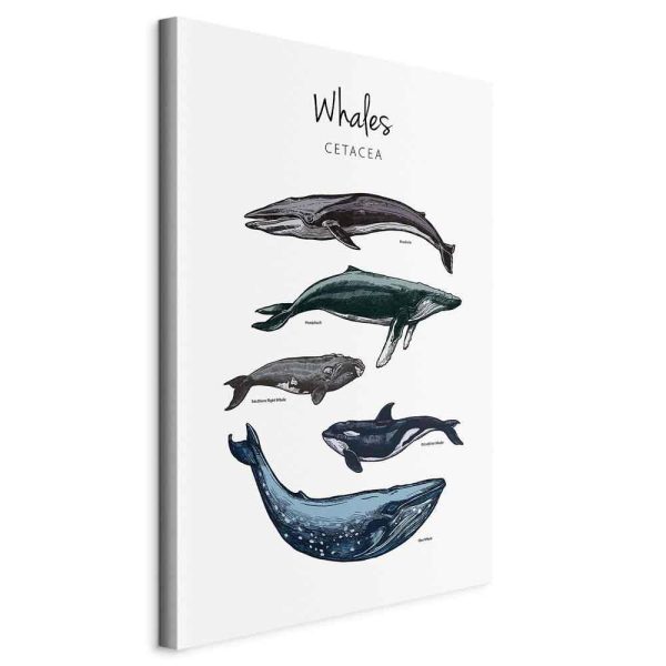 Canvas Print - Whales (1 Part) Vertical