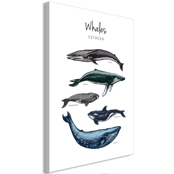Canvas Print - Whales (1 Part) Vertical