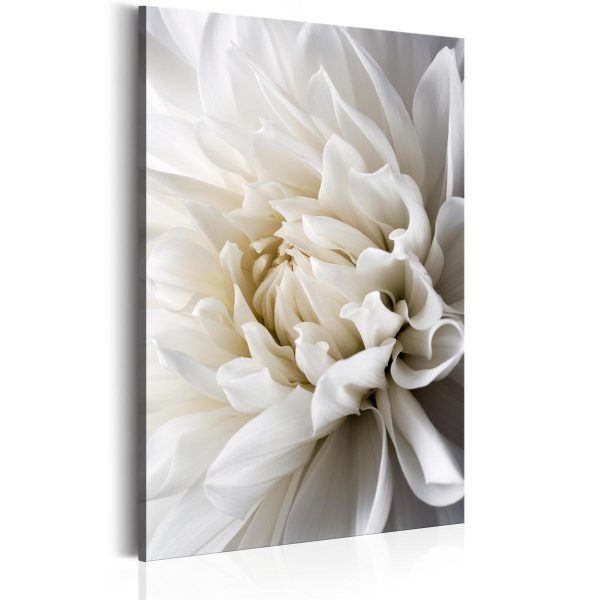 Canvas Print - White Dahlia