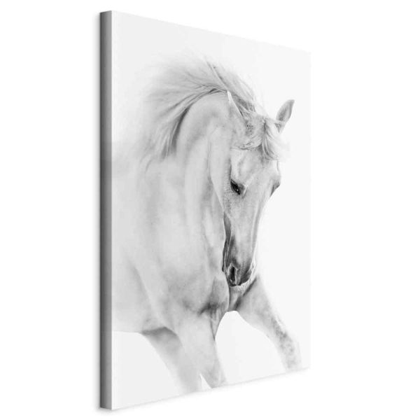 Canvas Print - White Horse (1 Part) Vertical