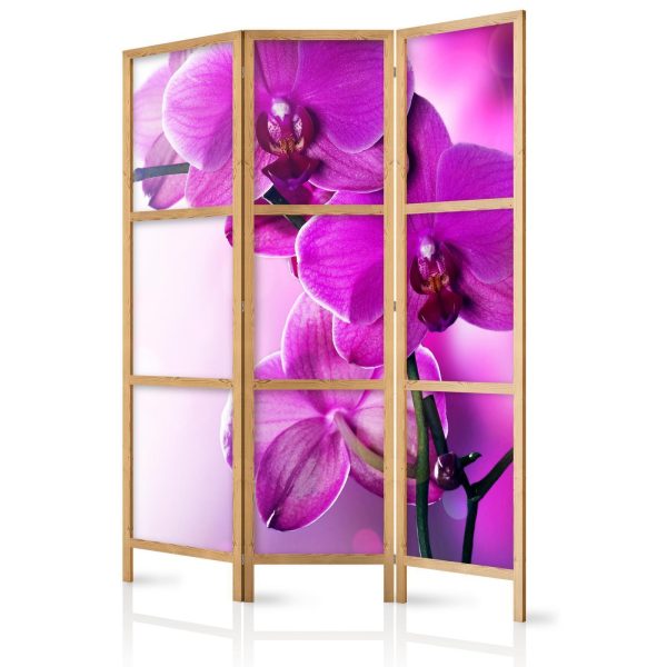 Japanese Room Divider - Violet Orchids I