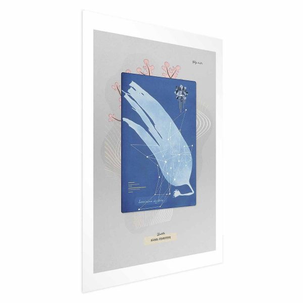 Poster - Algae