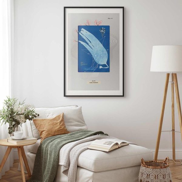 Poster - Algae