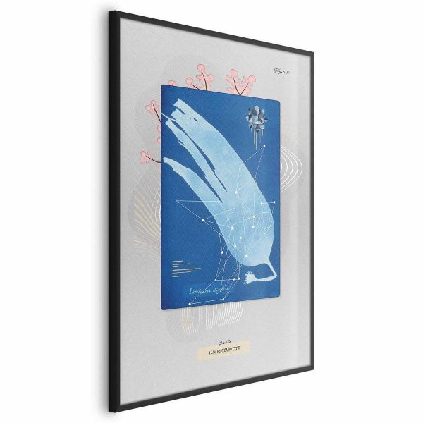 Poster - Algae