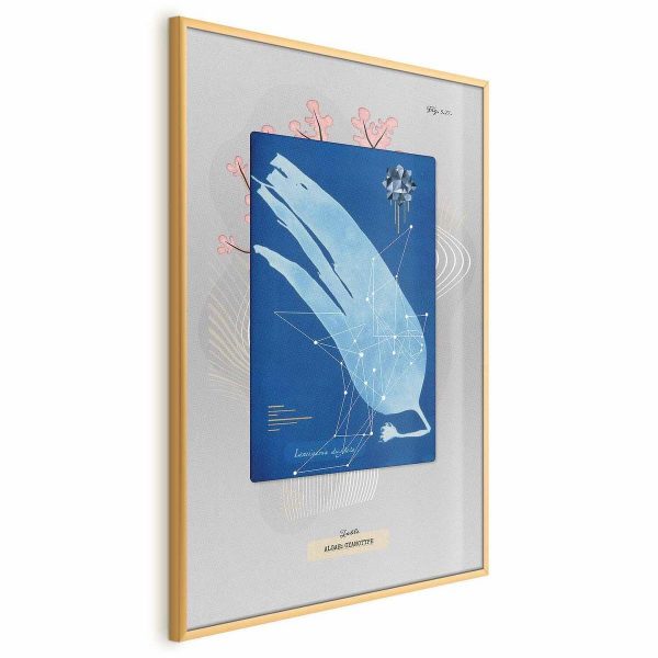 Poster - Algae