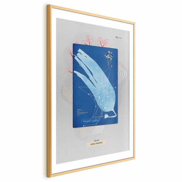 Poster - Algae