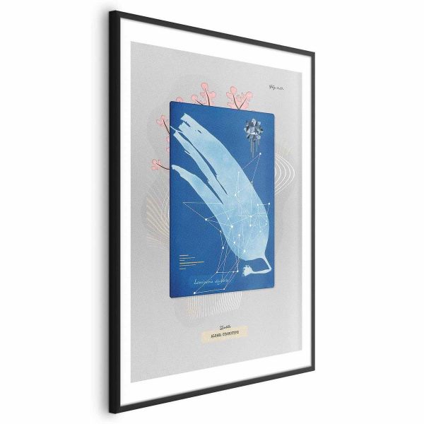 Poster - Algae