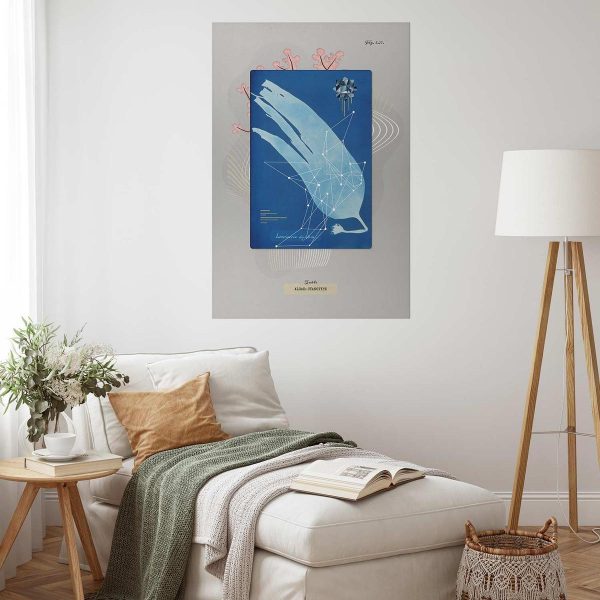 Poster - Algae