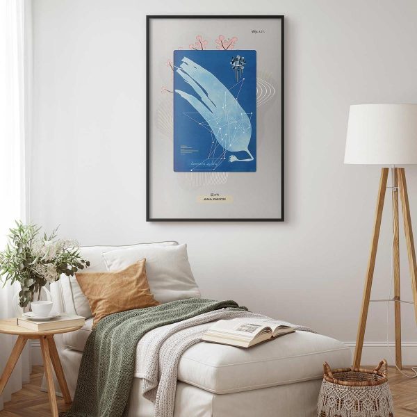 Poster - Algae