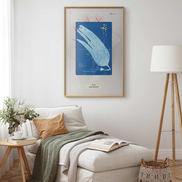 Poster - Algae