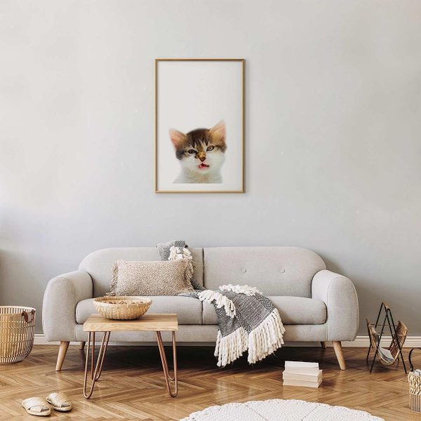 Poster - Annoyed Cat