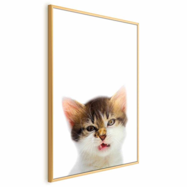 Poster - Annoyed Cat